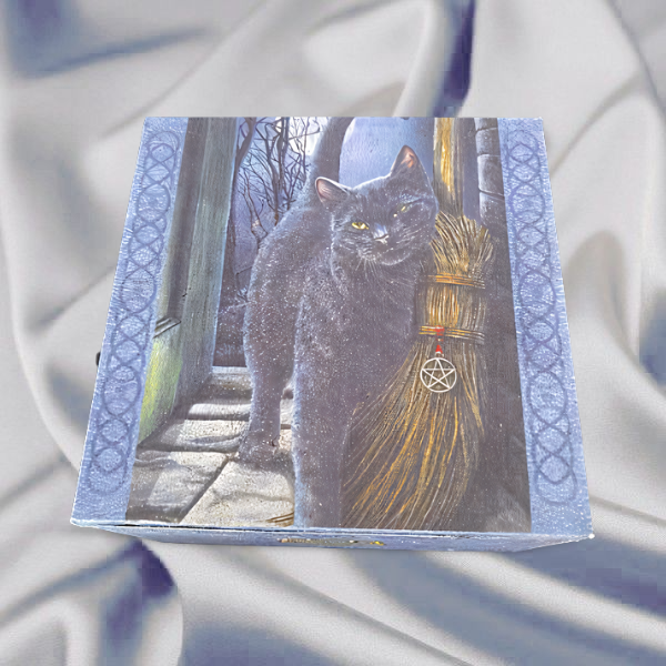 T2007 Trinket Box Black Cat